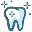 dental care 2